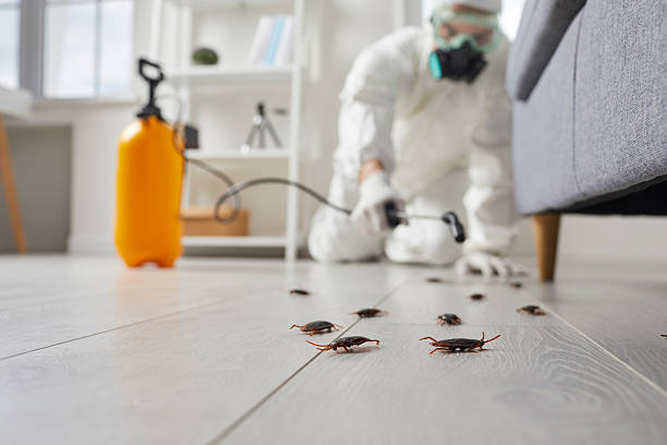 Commercial Kitchen Cockroach Control in Park River